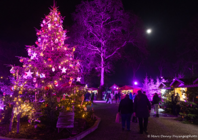 Marché de Noël : appel à candidatures